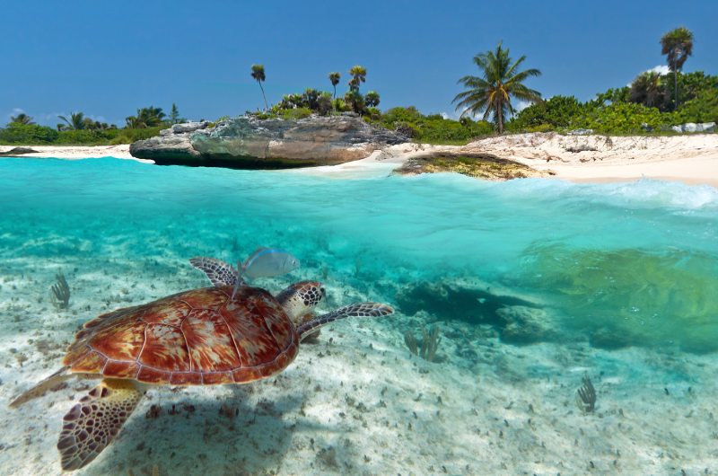 Akumal